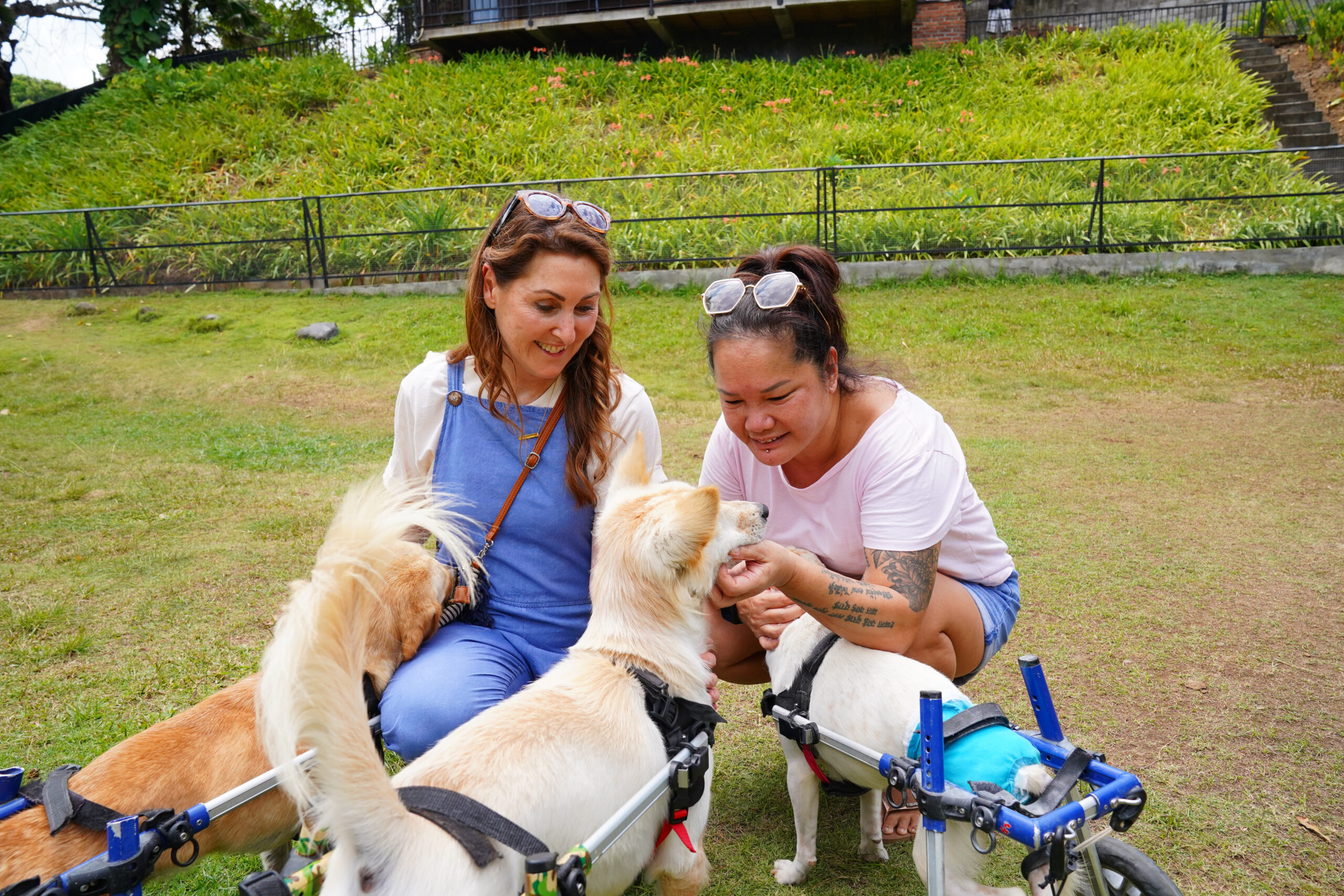 Alison Gray and Annie Leo are taking care about dogs